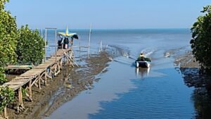 LDII Sulsel Akan Tanam Mangrove di Lantebung Makassar, Dorong Gerakan Bersama Jaga Pesisir